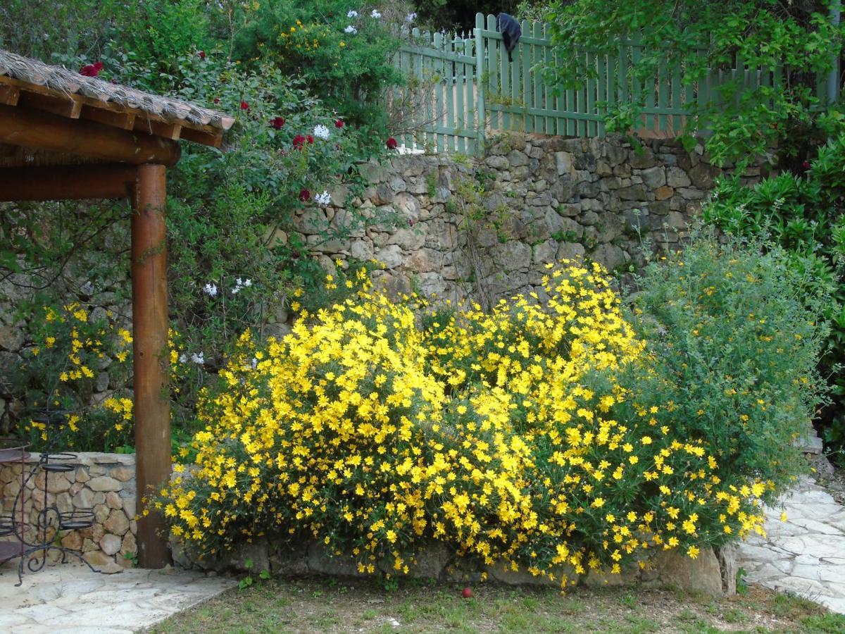 Mas Des Citronniers Bed & Breakfast Le Tignet Dış mekan fotoğraf