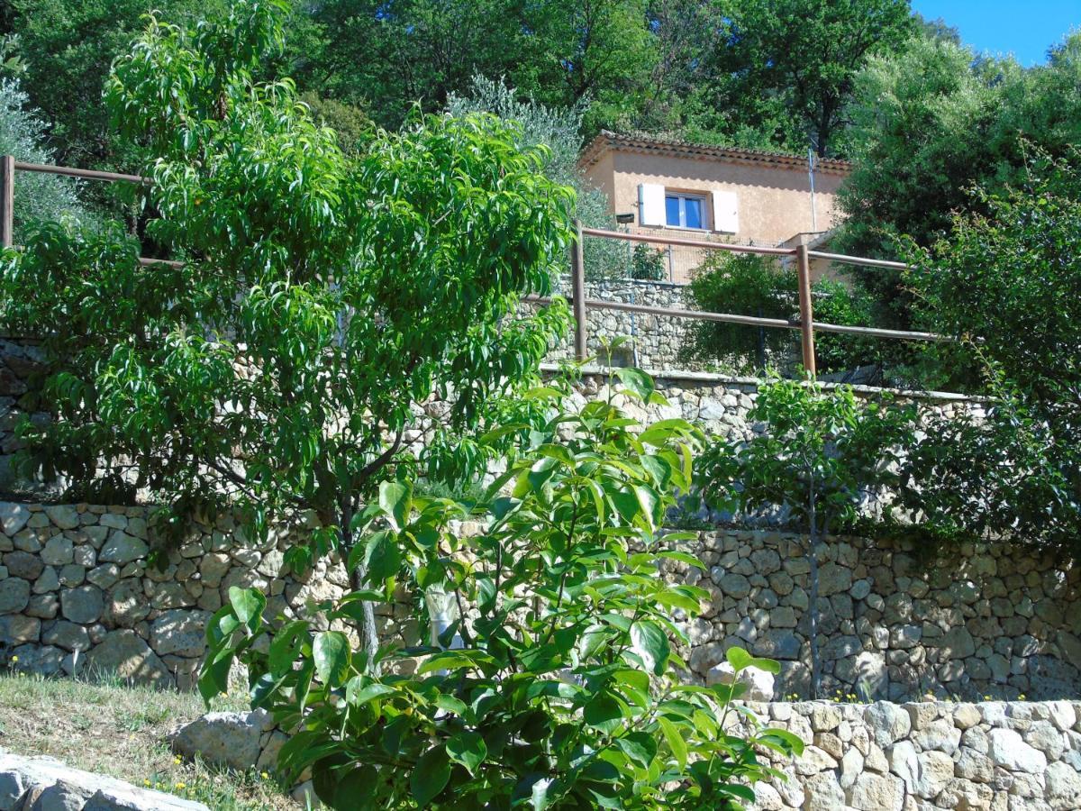 Mas Des Citronniers Bed & Breakfast Le Tignet Dış mekan fotoğraf