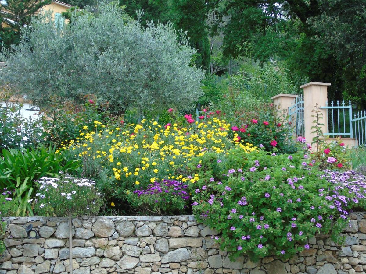 Mas Des Citronniers Bed & Breakfast Le Tignet Dış mekan fotoğraf